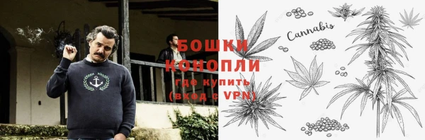 прущие крисы Белая Холуница