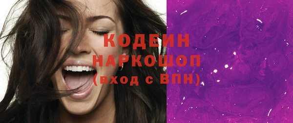 бошки Пересвет