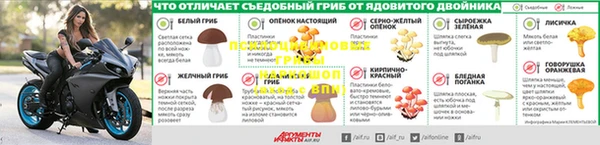 прущие крисы Белая Холуница