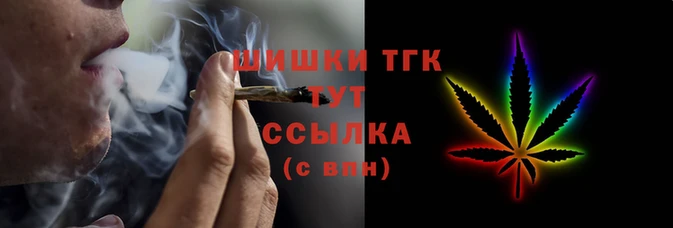 прущие грибы Ачинск
