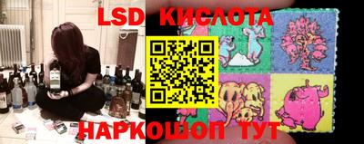 шишки Волгодонск