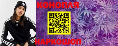 гашишное масло Гатчина