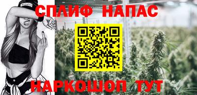 МДПВ Гай