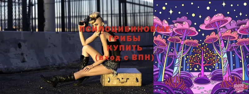 Псилоцибиновые грибы Magic Shrooms  сайты даркнета наркотические препараты  Камышин 