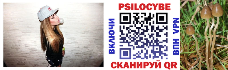 Псилоцибиновые грибы Cubensis  Камышин 