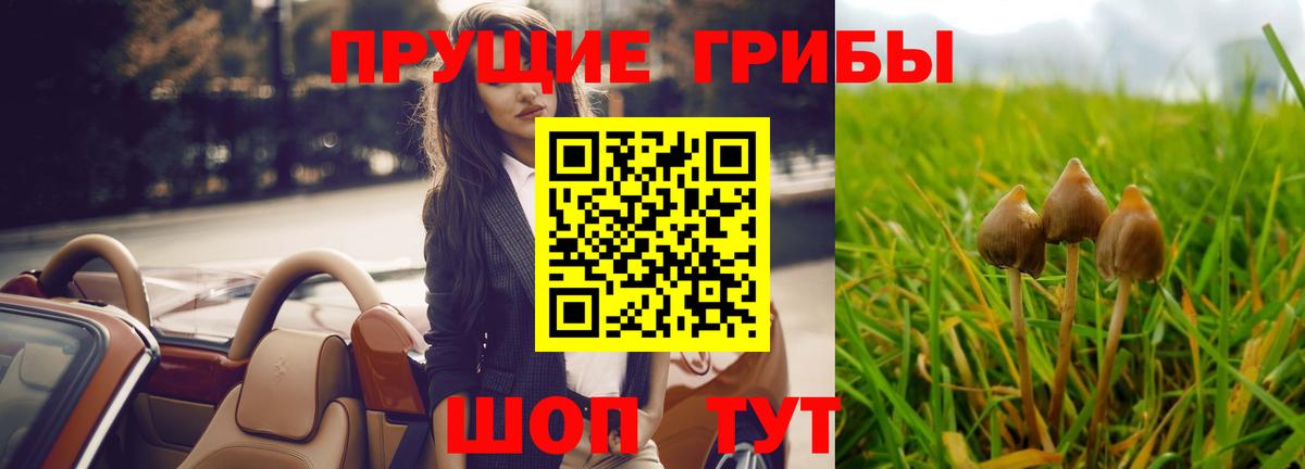 Псилоцибиновые грибы Magic Shrooms Камышин