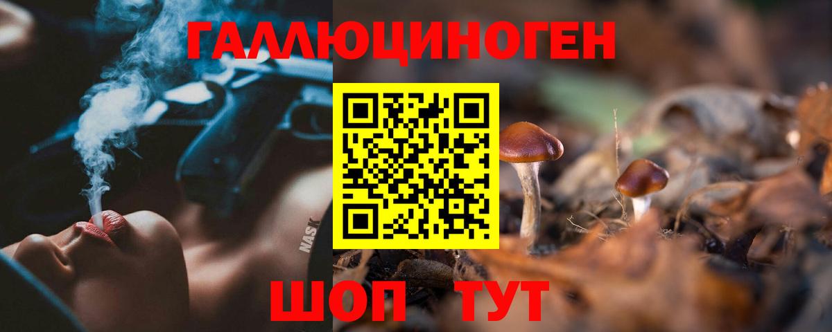 Камышин  где купить   Вход с VPN  Псилоцибиновые грибы ЛСД  Галлюциногенные грибы GOLDEN TEACHER 
