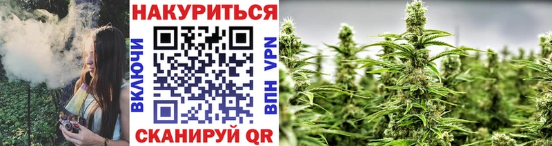 сайты даркнета официальный сайт  купить   Камышин  Шишки марихуана планчик 